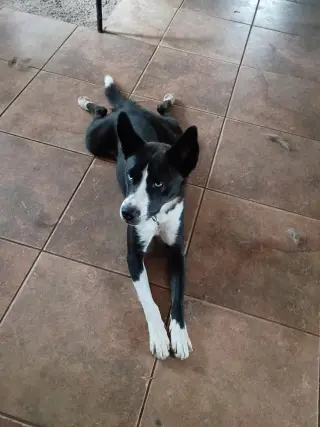 Zoey