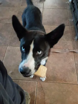 Zoey