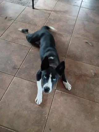 Zoey
