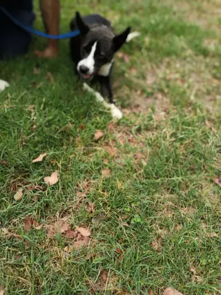 Zoey