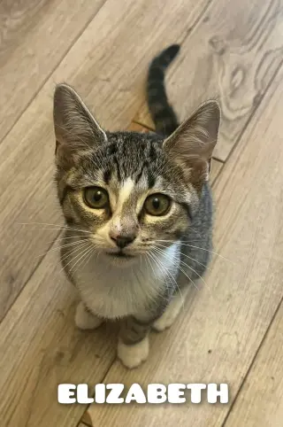 ELIZABETH