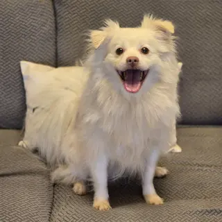 Olaf