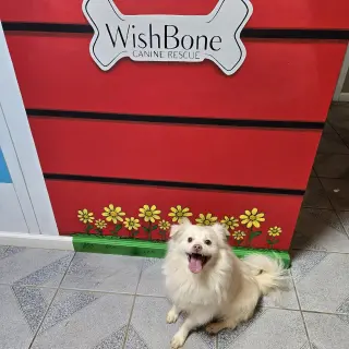 Olaf