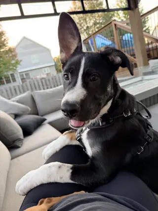 Rocky