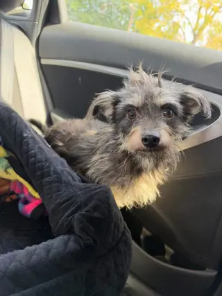 Gus