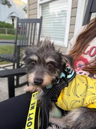 Gus