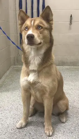 LUNA