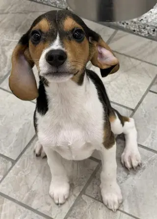 CHURRO