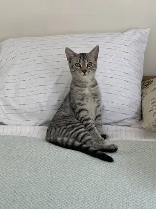 Mia