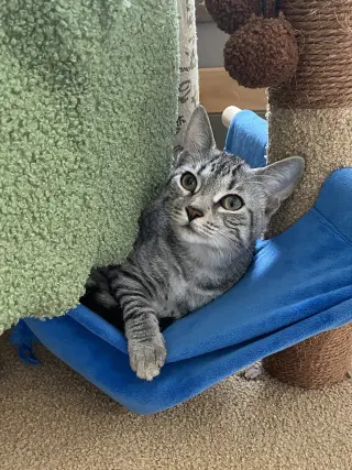 Mia