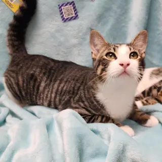 Oliver #bonded-to-Olivia