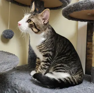 Oliver #bonded-to-Olivia