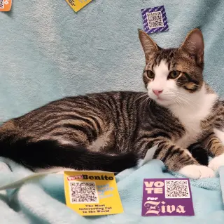 Oliver #bonded-to-Olivia