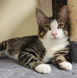 Oliver #bonded-to-Olivia