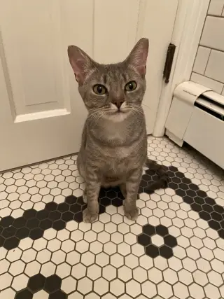 Molly