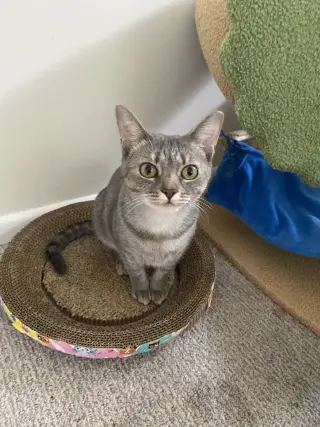 Molly