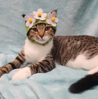 Olivia #bonded-to-Oliver