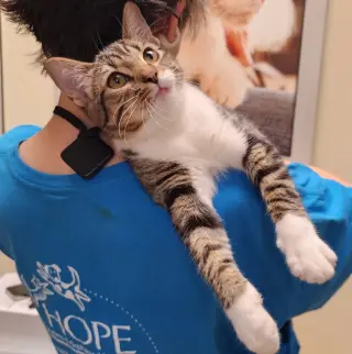 Olivia #bonded-to-Oliver