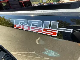 Chevrolet Silverado 1500 2021 4x4 LT Trail Boss 4dr Crew Cab 5.8 ft. SB