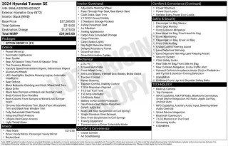 Hyundai TUCSON 2024 SE 4dr SUV