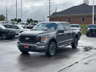Ford F-150 2023 4x4 XLT 4dr SuperCrew 6.5 ft. SB