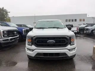 Ford F-150 2023 4x4 XLT 4dr SuperCrew 6.5 ft. SB