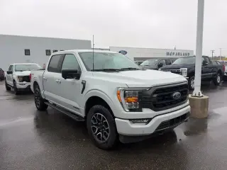 Ford F-150 2023 4x4 XLT 4dr SuperCrew 6.5 ft. SB
