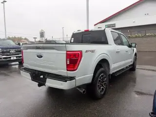 Ford F-150 2023 4x4 XLT 4dr SuperCrew 6.5 ft. SB
