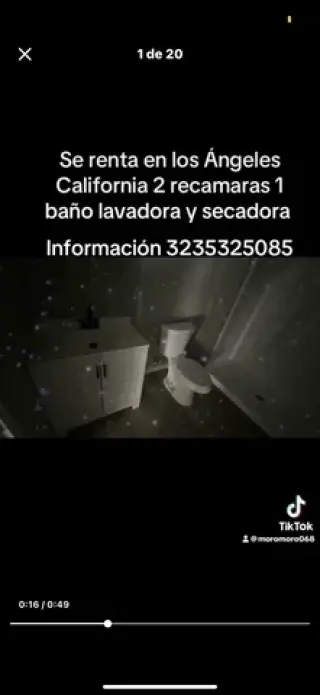 Caza nueva