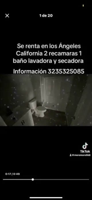 Caza nueva