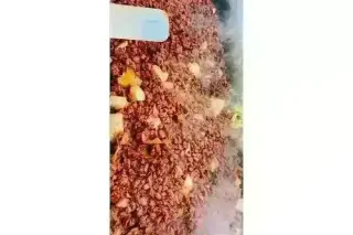 Ricas Taquizas para Fiestas 🌮