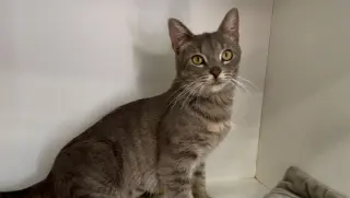 Fiona