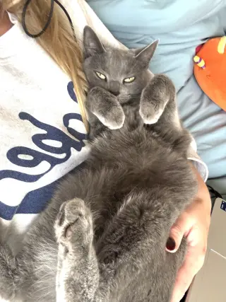 zz "Bean" Courtesy Post