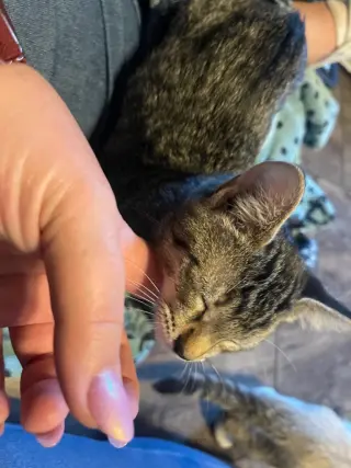 Miss Ruby