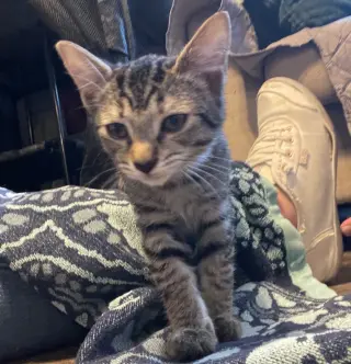 Miss Ruby