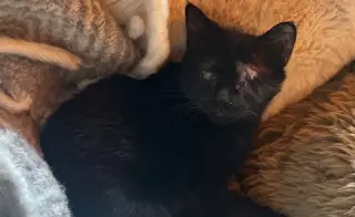 Juliet and Violet (7/20/26-552,9/14/26-69)