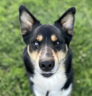 Luca