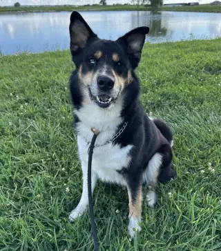 Luca