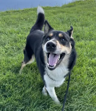 Luca