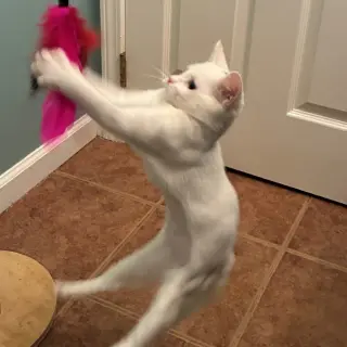 Nilla