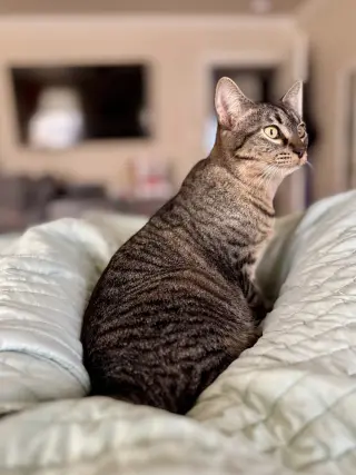 Sandy
