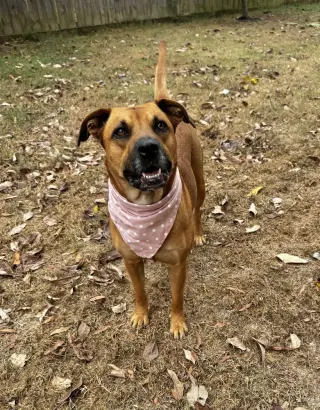 Nina
