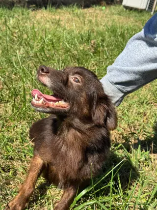 Cocoa
