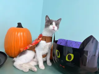 Mama T