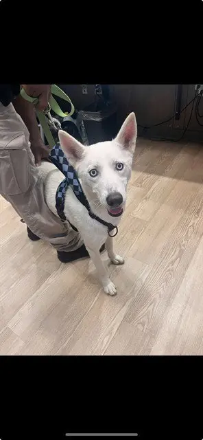 PRECIOUS