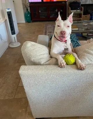 Abby