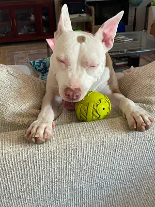 Abby