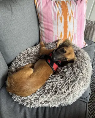 Klara