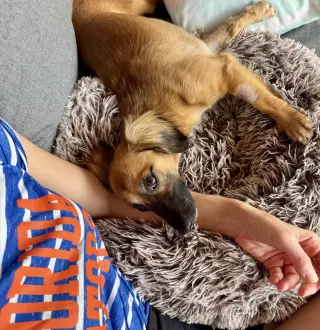 Klara