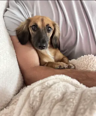 Klara